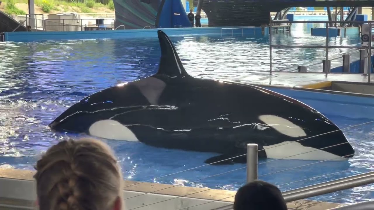 seaworld Jayden meet shammu 🥰