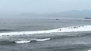 IMG 0835