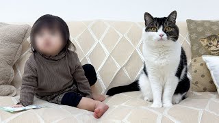 猫に触れたことがない赤ちゃんが一瞬でメロメロになった瞬間がこちらw