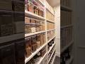 Smart Kitchen Pantry Storage Ideas | Best Kitchen Organization Tips for Small & Large Kitchens 🍽️✨