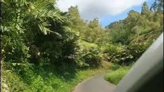 KEBUN CENGKEH BRANGGAH BANARAN SENGGRONG