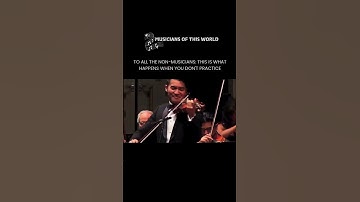 Non-musicians, take notes! Practice makes perfect—or at least prevents this from happening. 🎻😂