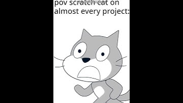 pov scratch cat on  almost every project: