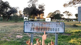 POBLADO FORESTAL DE CABEZUDOS, ¿LO CONOCÍAS?