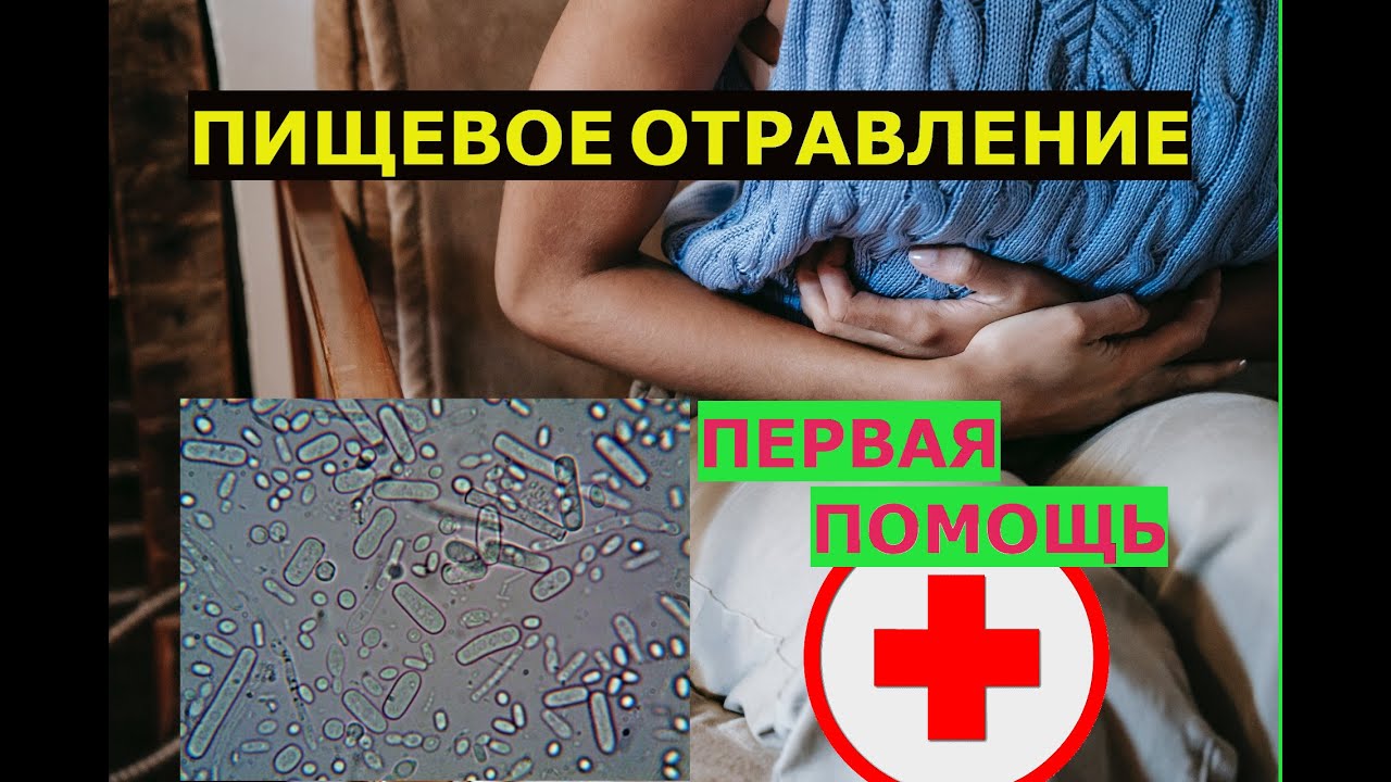 ПИЩЕВОЕ ОТРАВЛЕНИЕ. ПРОФИЛАКТИКА, ЛЕЧЕНИЕ, ПЕРВАЯ ПОМОЩЬ. ЧТО НУЖНО ДЕЛАТЬ ПРИ ПИЩЕВОМ ОТРАВЛЕНИИ.