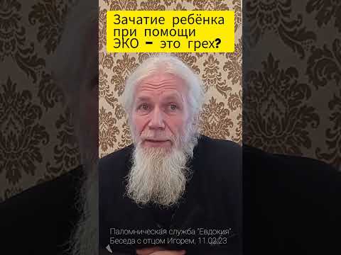 Зачатие ребёнка при помощи ЭКО и мама-донор это грех? Отец Игорь Мухин (Годеново)