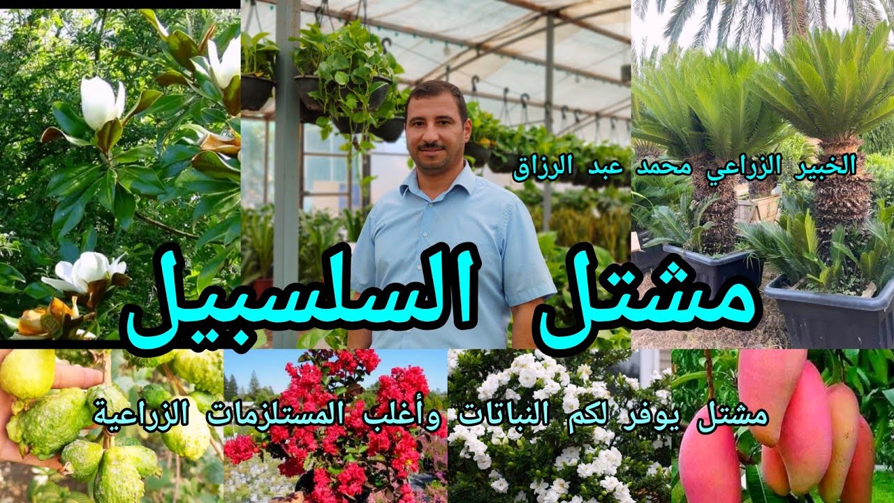 مشتل السلسبيل جميع التجهيزات الزراعية في مكان واحد لارقى المناشئ المحلية والعالمية هو تحفة زراعية