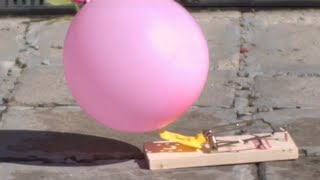 Water Balloon + rat trap = SLOW MOTION