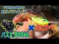 「バスX 80SHL × スピナーベイト」実釣！！#千葉県#釣りパラダイス #バス釣り