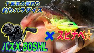 「バスX 80SHL × スピナーベイト」実釣！！#千葉県#釣りパラダイス #バス釣り