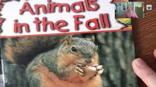 Animals in the Fall
