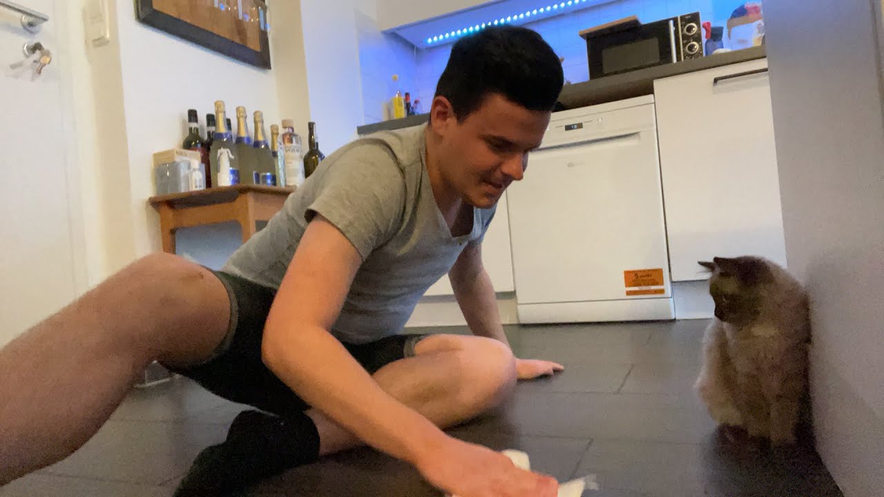 Tourette | Jans neue Serengeti’s und der Kratzbaum