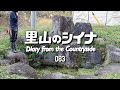 田舎暮らし 083:古民家の庭の手入れ