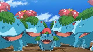 Bulbasaur All Scene In Anime