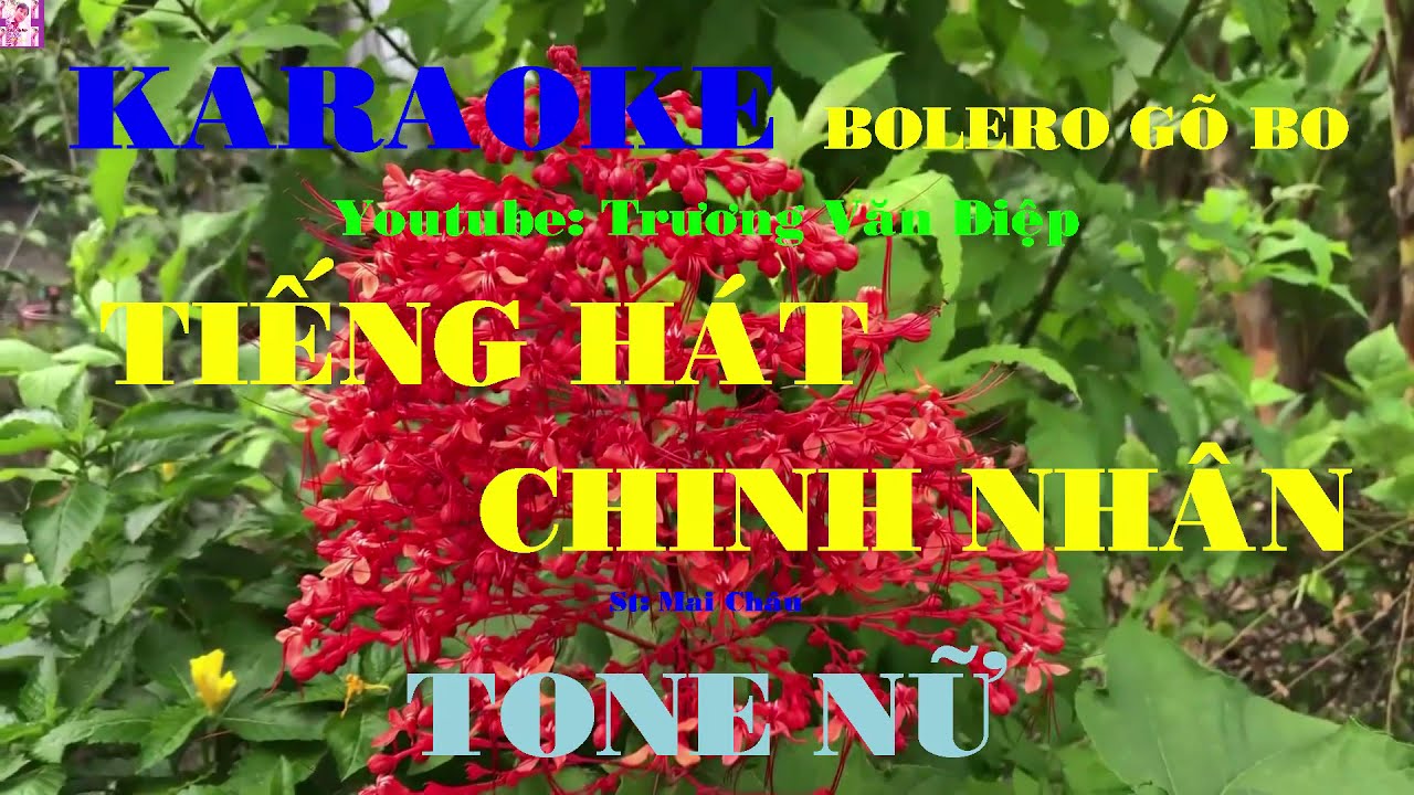 Karaoke Tiếng Hát Chinh Nhân Tone Nữ Go Bo | Trương Văn Điệp