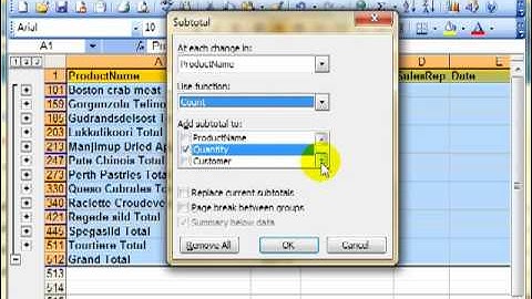 AM 4425-6 Automatic sub-totalling Microsoft Excel 2003 ECDL Advanced ITQ3