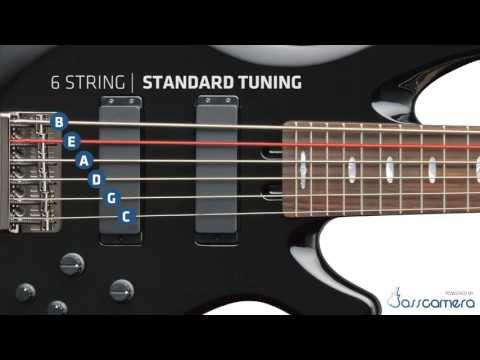bass-tuning---6-strings-standard-(b,e,a,d,g,c)-[hd]