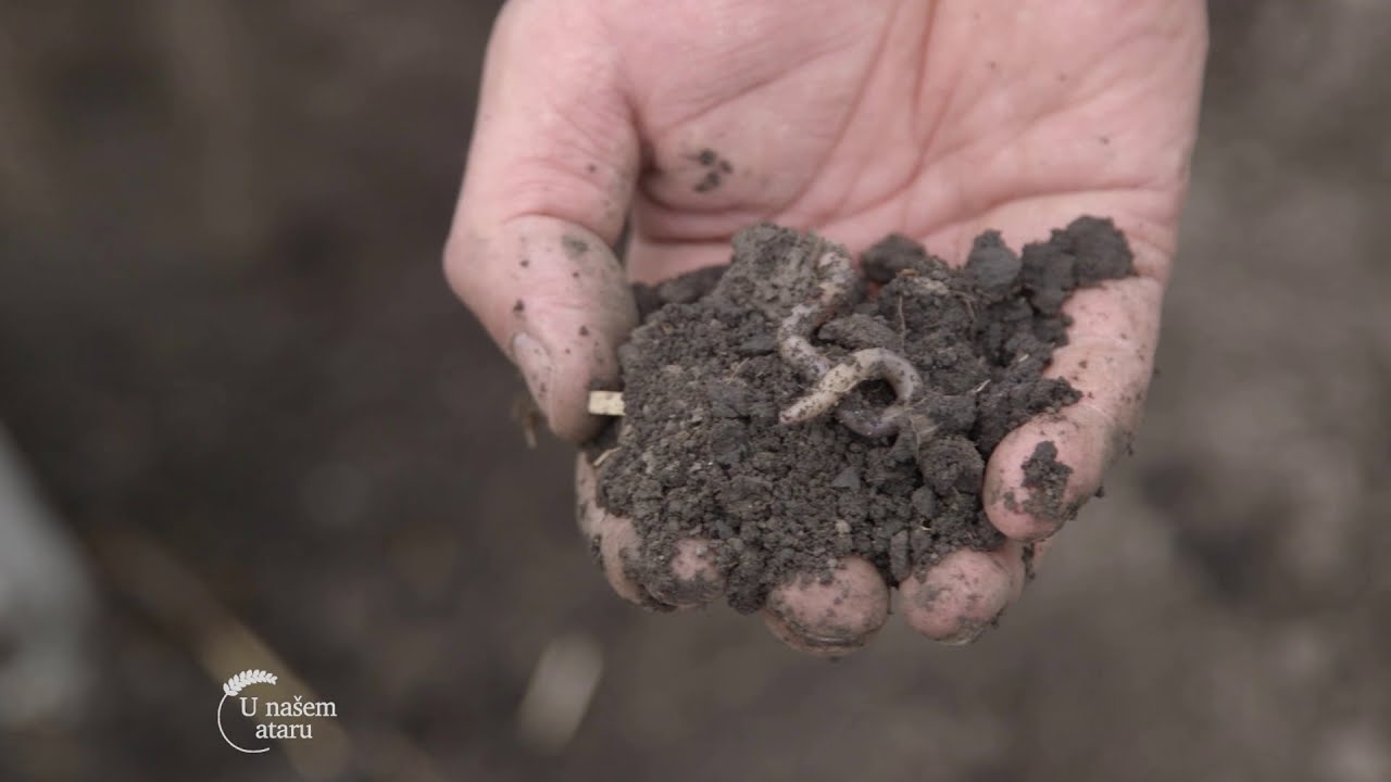 Ostatke razgradi, humus izgradi, BioPlug - U nasem ataru 744