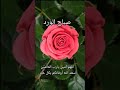 دعاء جميل اللهم إن أسألك شكر نعمتك صباح الورد أتمنى المشاركة زهرة الإسلام 