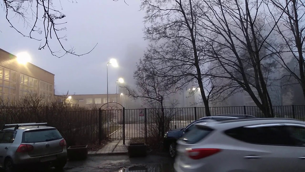 На улице туман густой - YouTube