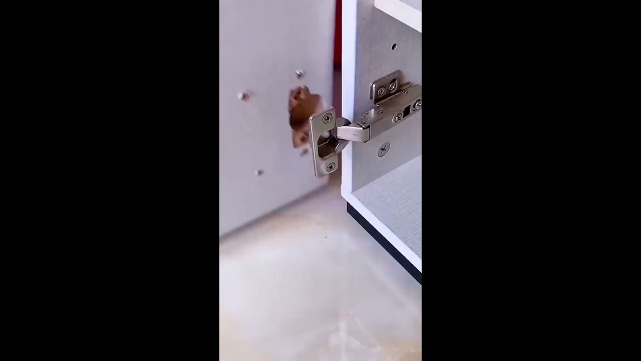 Hinge Repair Plate Demo 2021