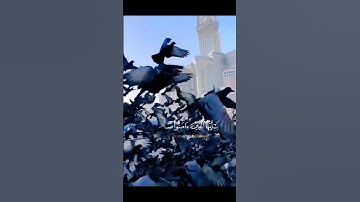 يوم الجمعة_ اجمل صوت لتلاوة إن الله وملائكته يصلون على النبي