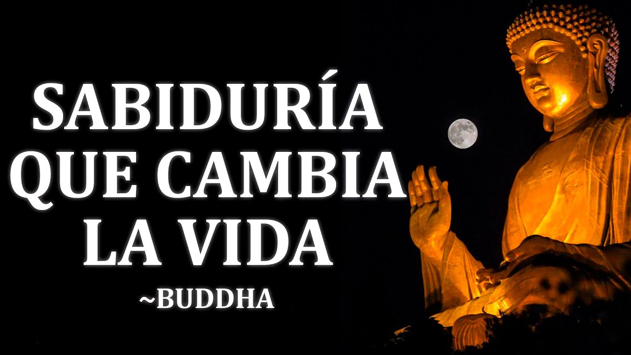(SIN ANUNCIOS) “Aquieta tus pensamientos y la paz te encontrará” | Lecciones budistas