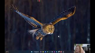 AudioScribe Software Training: Brief introduction to Dragon 16
