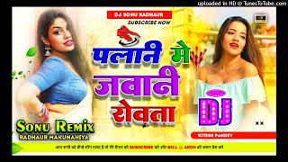 Palani Me Jawani Rowata Ritesh Pandey Bhojpuri Song Dj Remix 2024 Dholaki Remix Dj Sonu