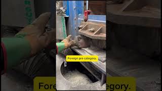Most People Have No Idea What These Catalytic Converters Are Worth