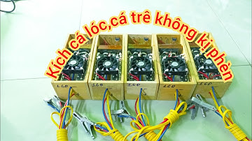 Kích cá lóc đánh bộ,kích cá trê,kích cá nước phèn,kích cá nước ngọt,kích lươn,kích ếch