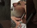 Grey Beard Look рџ Ґ Shorts рџ Ёрџ Ёрџ Ё Grey Beard Look рџ Ґ Shorts рџ Ёрџ Ёрџ Ё