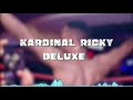 #HIGH LEVEL #KARDINALRICKY (Vidéo Lyrics) #NewTube #Benin Mp3 Song