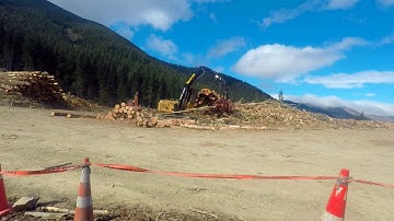 Tigercat 880 with Waratah 625C