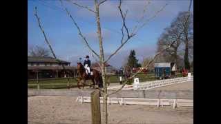 concours de dressage domaine des ormes Margot le 08/03/2015