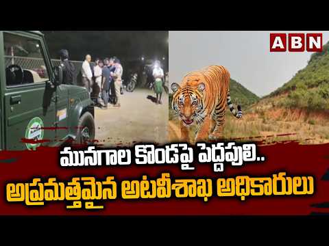 మునగాల కొండపై పెద్దపులి.. అప్రమత్తమైన అటవీశాఖ అధికారులు | Tiger on Munagala Hill | ABN Telugu - ABNTELUGUTV