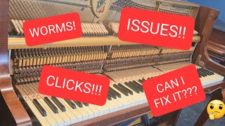Fixing an old Petrof piano in desperate need of help!! PART 1 by Churton Park Pianos 17,984 views 1 year ago 23 minutes