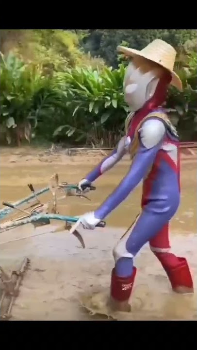 Ultramen lagi bajak sawah