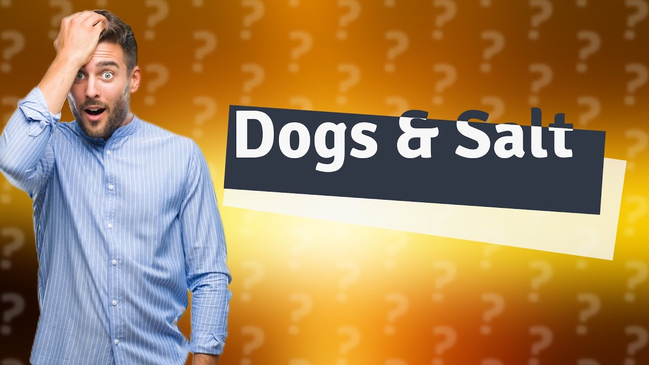Is Himalayan salt sea salt OK for dogs? YouTube