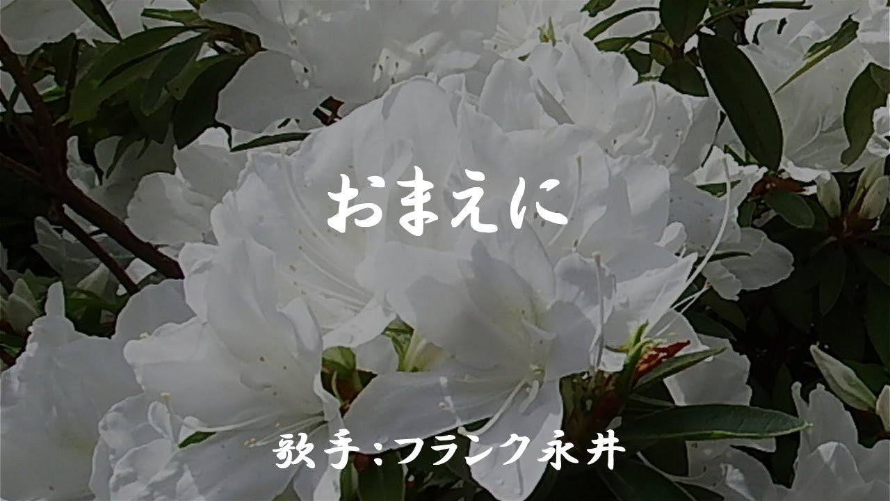 おまえに　（ フランク永井 ）日本語の歌詞付き