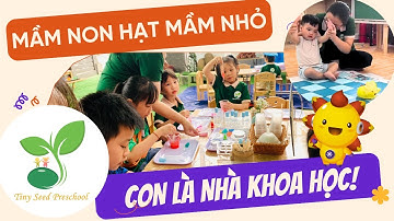 Học lập trình robot và sáng tạo STEAM cùng SUNBOT tại Trường Mầm non Hạt Mầm Nhỏ - TP. Hạ Long