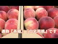 福島の桃について熱く語る①