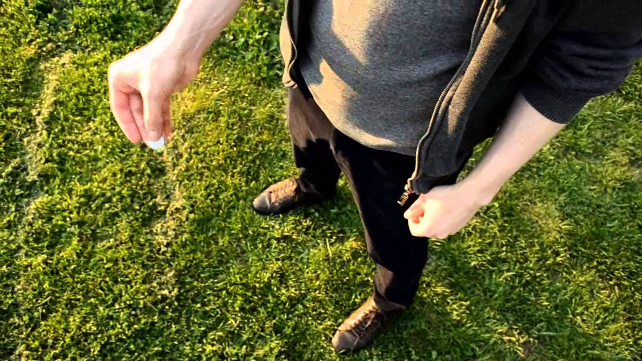 Totems by Barbu Nitelea - Video DOWNLOAD