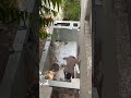 Welcome to my fish pond journey part-2.