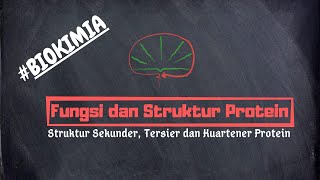 Struktur Sekunder, Tersier, Kuartener Protein | Fungsi dan Struktur Protein