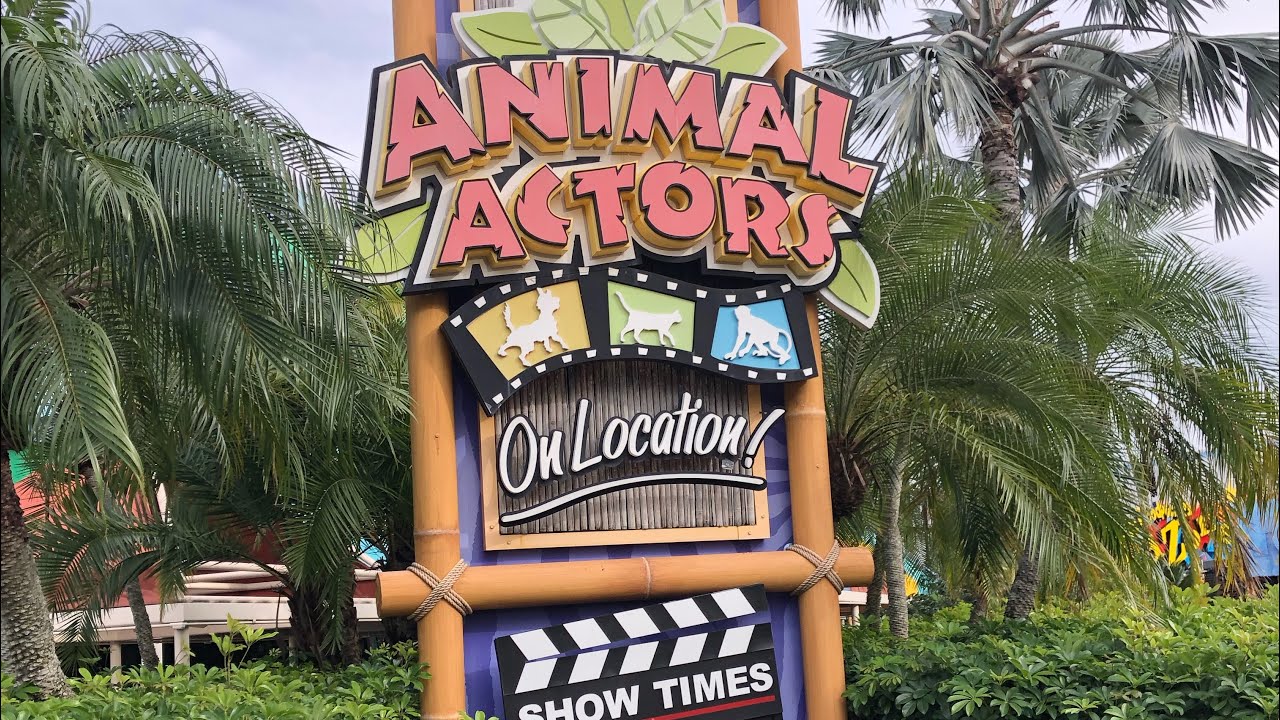 Animal Actors on Location! Universal Studios Entire Show December 2022