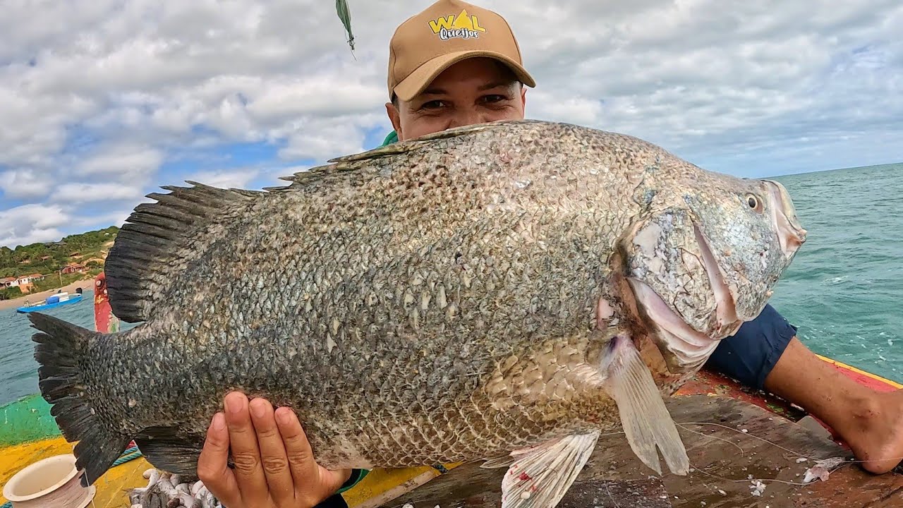 INACREDITÁVEL - FISGUEI UM PEIXE GIGANTESCO NO MAR ( DIEGO PESCADOR AMADOR)