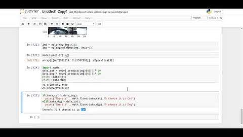 cat and dog detection convolution | jupyter notebook