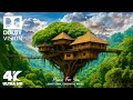 4K HDR 60fps The Most Real 4K HDR Nature Video 8K 4K Video 4K HDR 60fps The Most Real 4K HDR Nature Video 8K 4K Video