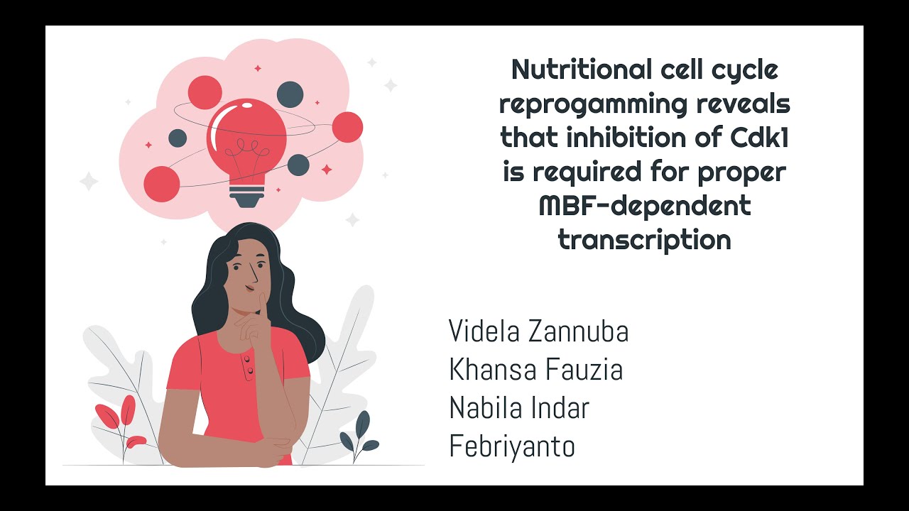 Kelompok 8 : Review Jurnal Siklus Sel - YouTube